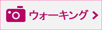 ウォーキングの写真のフォトギャラリーはこちら