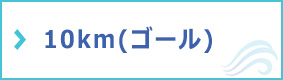 10kmの写真のフォトギャラリー（ゴール）はこちら