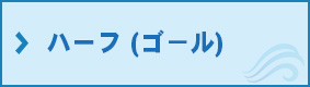 ハーフの写真のフォトギャラリー（ゴール）はこちら